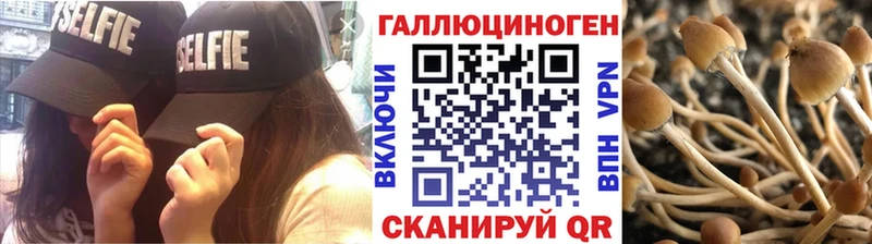 blacksprut маркетплейс  Павловск  Псилоцибиновые грибы Magic Shrooms  цена наркотик 